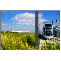 2014-04-05 T7 06.jpg